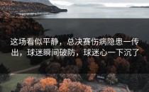 这场看似平静，总决赛伤病隐患一传出，球迷瞬间破防，球迷心一下沉了