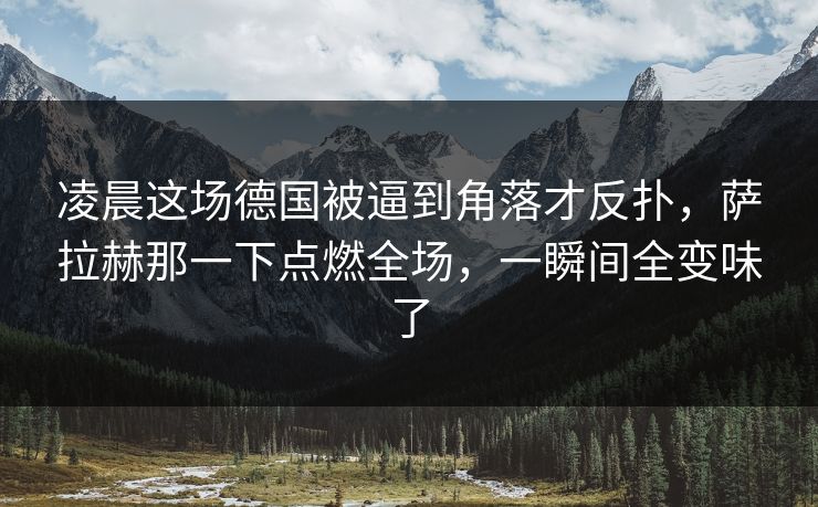 凌晨这场德国被逼到角落才反扑,萨拉赫那一下点燃全场,一瞬间全变味了 凌晨这场德国被逼到角落才反扑,萨拉赫那一下点燃全场,一瞬间全变味了